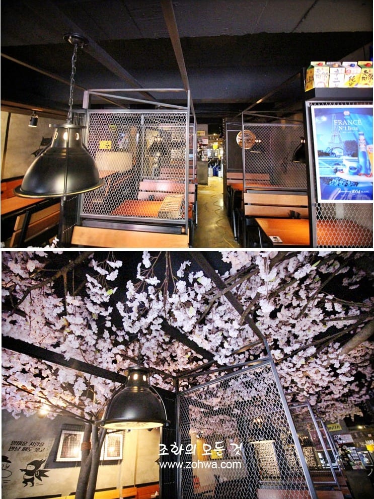 경산 쿠로배트맨 — 철망 천장과 벚꽃 연출