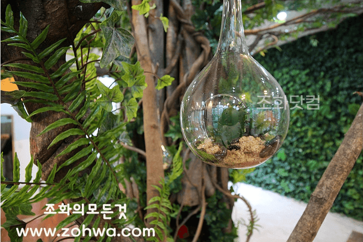 진주시 고양이 카페 뱅갈의 숲 — 넝쿨 사이에 매달린 행잉 유리볼 테라리움 장식