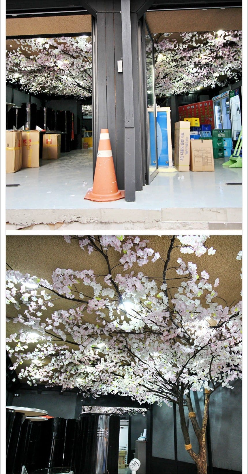 서울 일원동 회포 — 입구 쪽까지 이어진 벚꽃