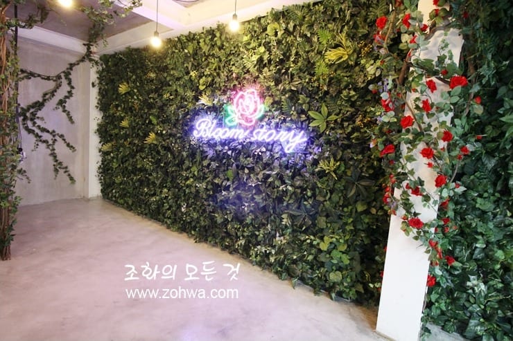 홍대 블룸스토리 — 벽 위에 바로 시공한 벽면녹화