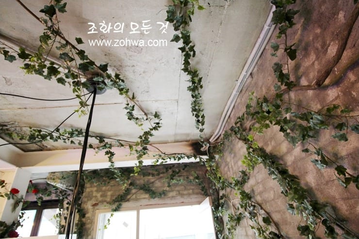 홍대 블룸스토리 — 천장으로 이어진 행잉넝쿨 연출