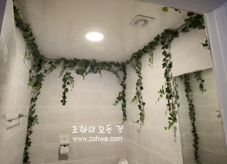 홍대 블룸스토리 — 구석까지 이어진 화장실 넝쿨