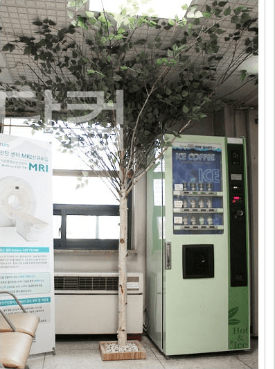 서울 인수동 대한병원 검사 구역 코너의 자작나무