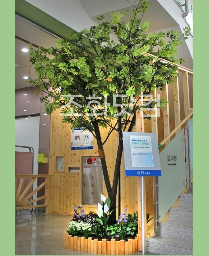 강원 속초병원 — 로비와 계단으로 이어지는 자리에 자리 잡은 인조 느티나무 전체 모습
