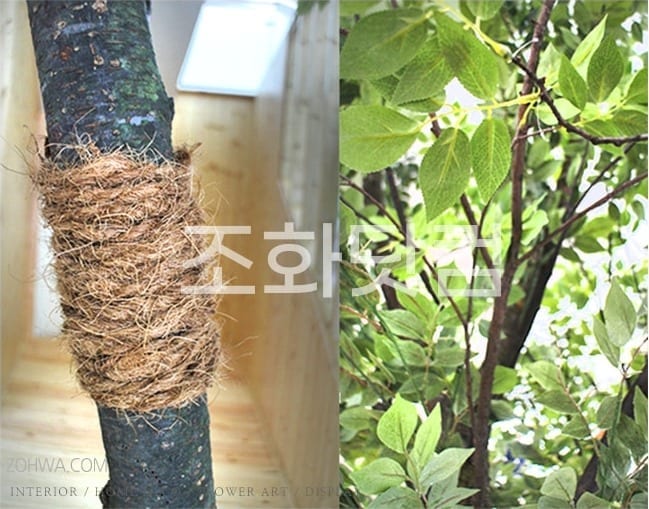 강원 속초병원 — 인조 느티나무의 줄기, 실제 나무 질감을 살린 굵은 기둥과 갈라진 가지 디테일