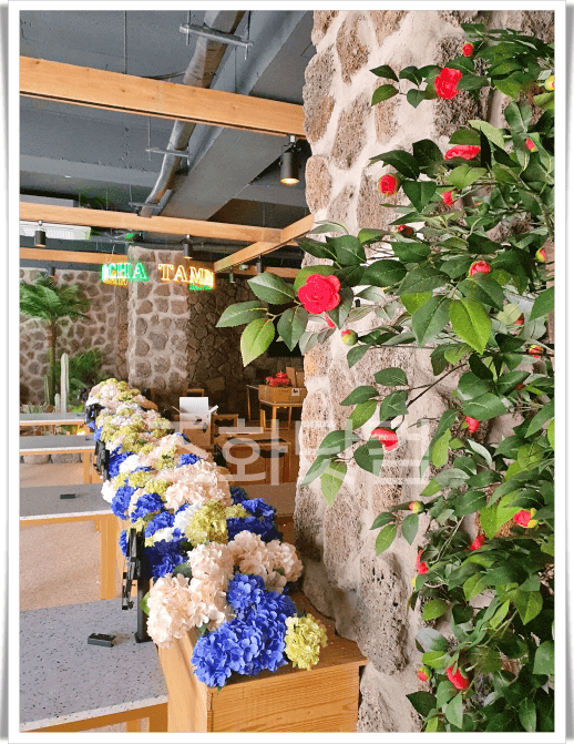 서울 탐라포차 이수점 — 수국과 감귤 넝쿨, 아이비가 어우러진 화단