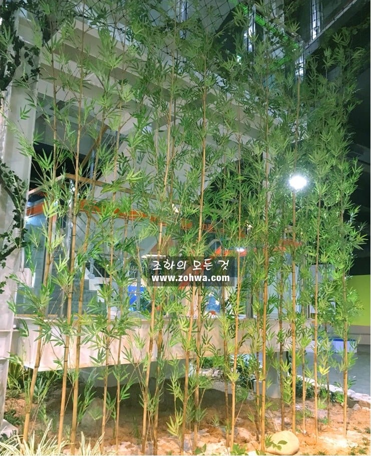 익산 전북 과학교육원 — 인조 대나무 숲