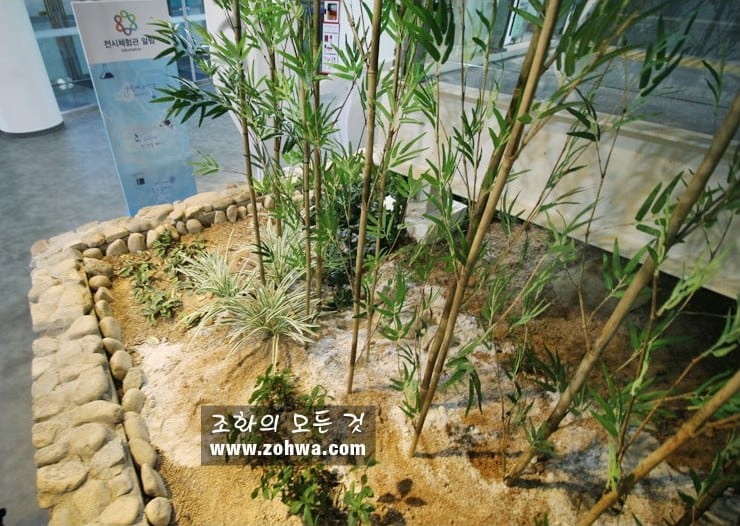 익산 전북 과학교육원 — 대나무 아래 자연석 화단