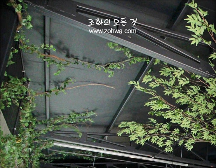 용인 장어랑돈이랑 — 아이비넝쿨 잎 디테일