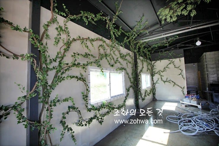용인 장어랑돈이랑 — 창가로 이어진 벽면 넝쿨