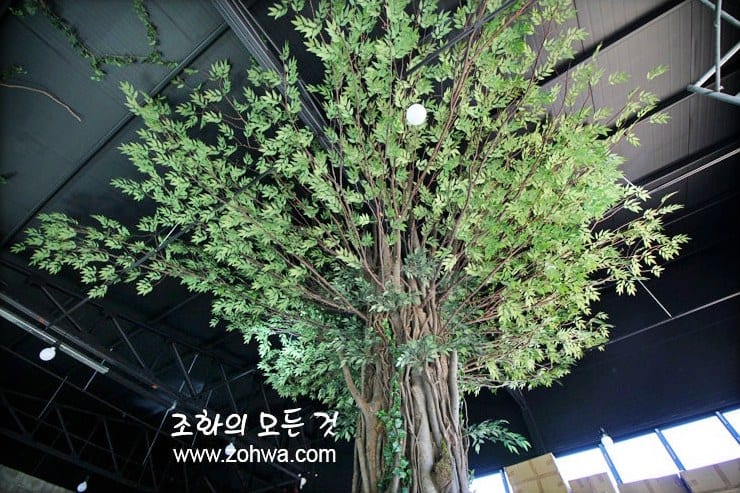 용인 장어랑돈이랑 — 굵은 줄기 올리브넝쿨나무