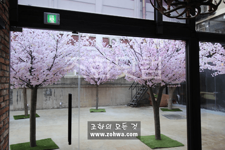 대구 제일창고 — 유리 너머로 보이는 입구 벚꽃