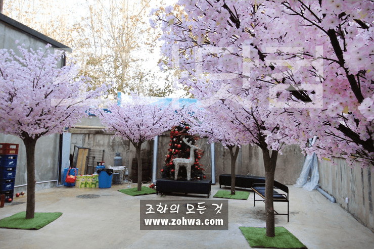 대구 제일창고 — 입구에서 마당으로 이어지는 벚꽃숲