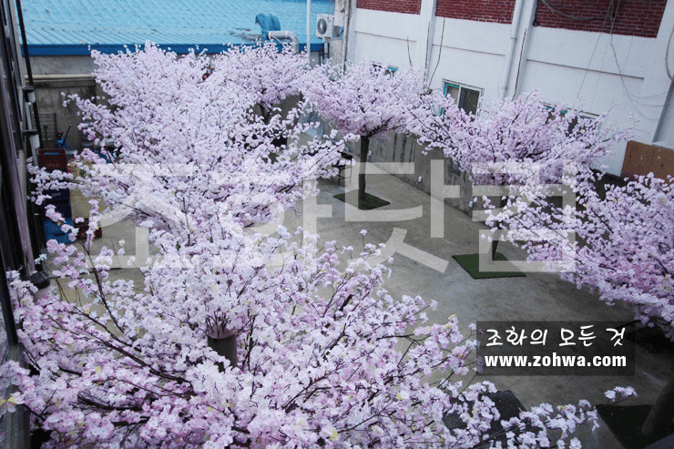 대구 제일창고 — 옥상까지 이어진 벚꽃숲 전경