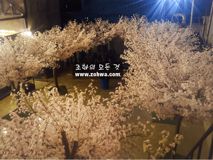 대구 제일창고 — 조명을 아래에서 받은 밤벚꽃