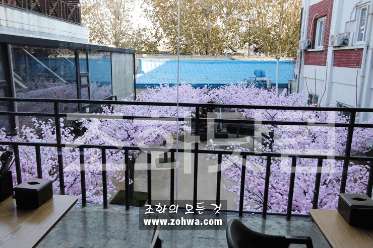 대구 제일창고 — 검은 펜스 너머 분홍 벚꽃