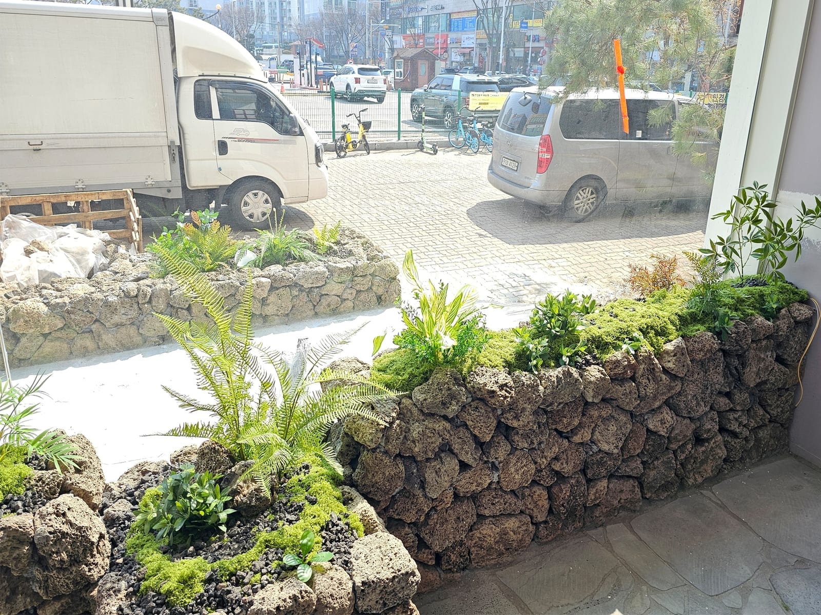 안산 모다드렁 — 제주 현무암 돌담으로 쌓은 화단에 고사리와 이끼 등 다양한 식물을 배치해 자연스러운 질감을 살린 모습