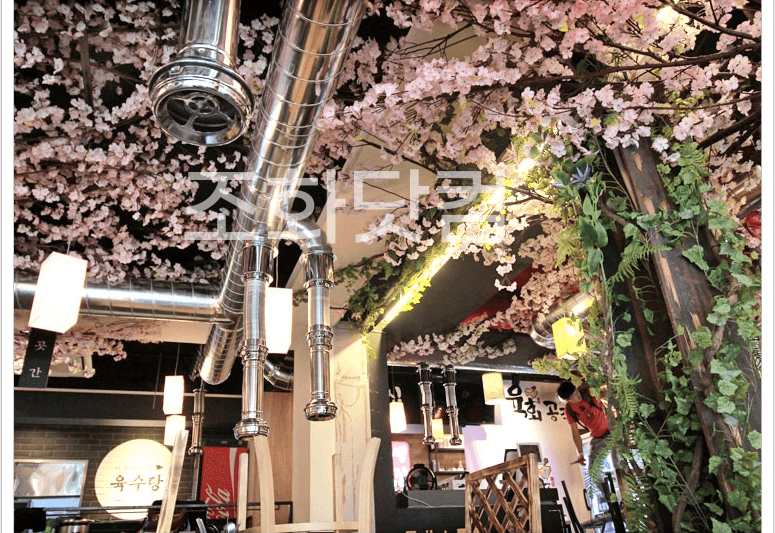전주 육회공작소 전북대점 — 아이비 넝쿨과 벚꽃이 대비되는 자리