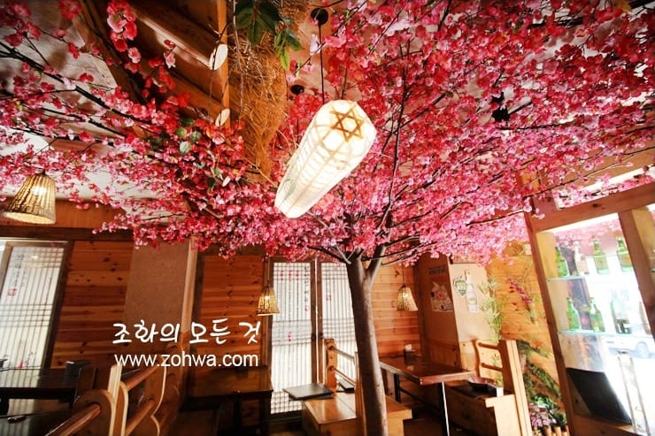 대구 정선생 경북대점 — 등 조명 아래 매화 천장