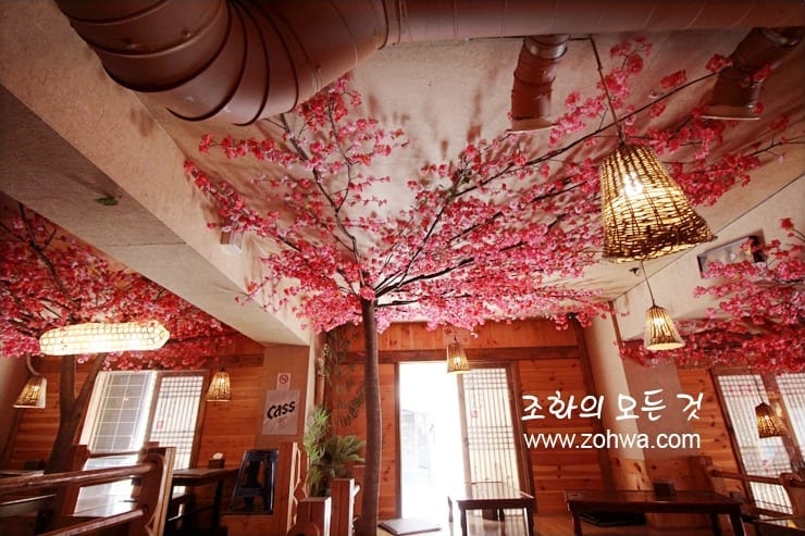 대구 정선생 경북대점 — 사진이 잘 나오는 매화 좌석