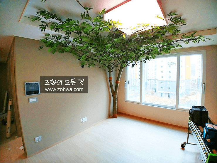 시흥 정왕동 아파트거실 — 흙 없이 세운 거실 코너 나무