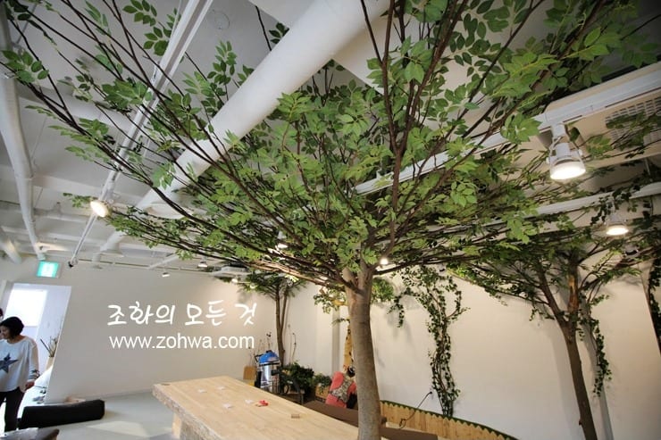 경남 진주 진주어린이환경박물관 — 실내 전체를 채운 나무 조경