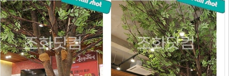 인천 존슨부대찌개 용현점 — 잎과 가지의 자연스러운 디테일