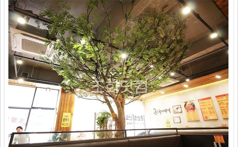 인천 존슨부대찌개 용현점 — 라운지에 응용할 수 있는 대형 인조 올리브나무