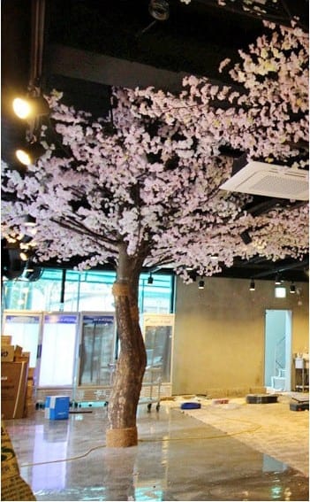 서울 종로 벚꽃야시장 — 한 그루 단위로 완성되는 벚꽃나무
