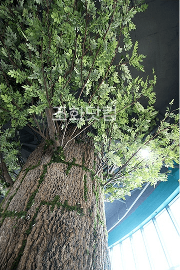 청주 점핑몬스터 — 굴피 줄기의 거친 질감