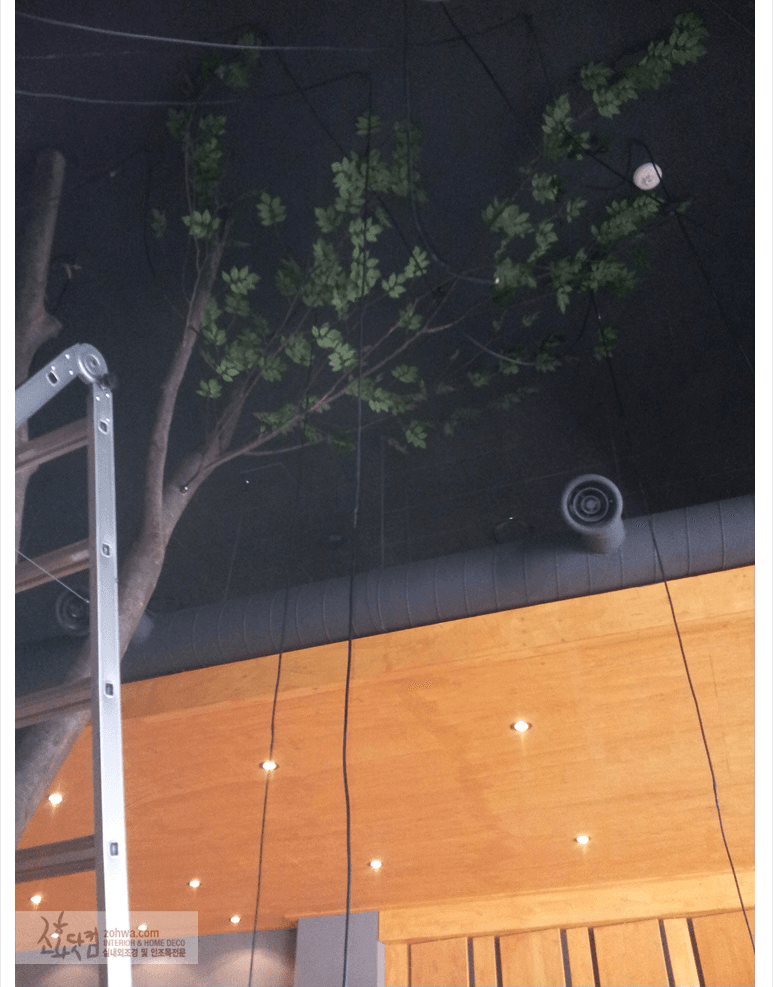 가양동 쿠오코 — 천장 배관을 가린 나무 그늘