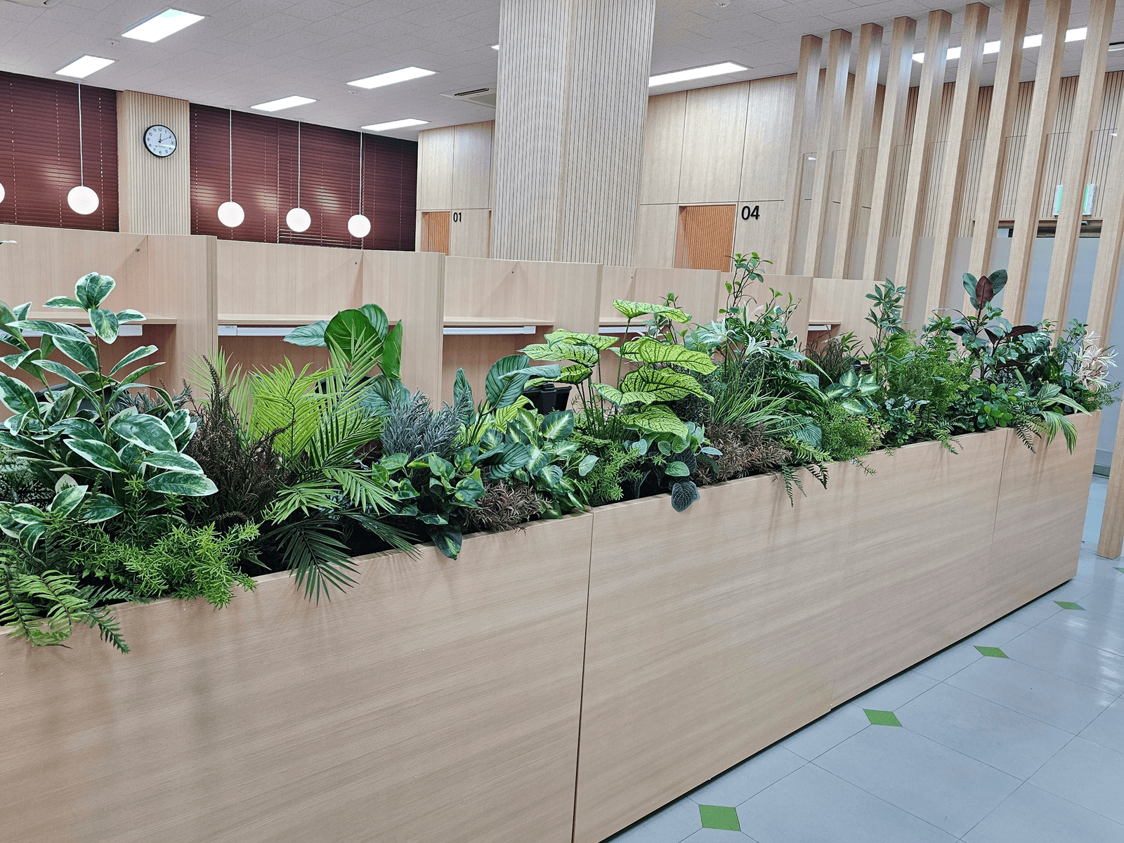 충남 천안 연암대학교 도서관 — 칸막이 좌석 앞 플랜트박스에 잎 모양이 다른 관엽식물을 섞어 심은 모습