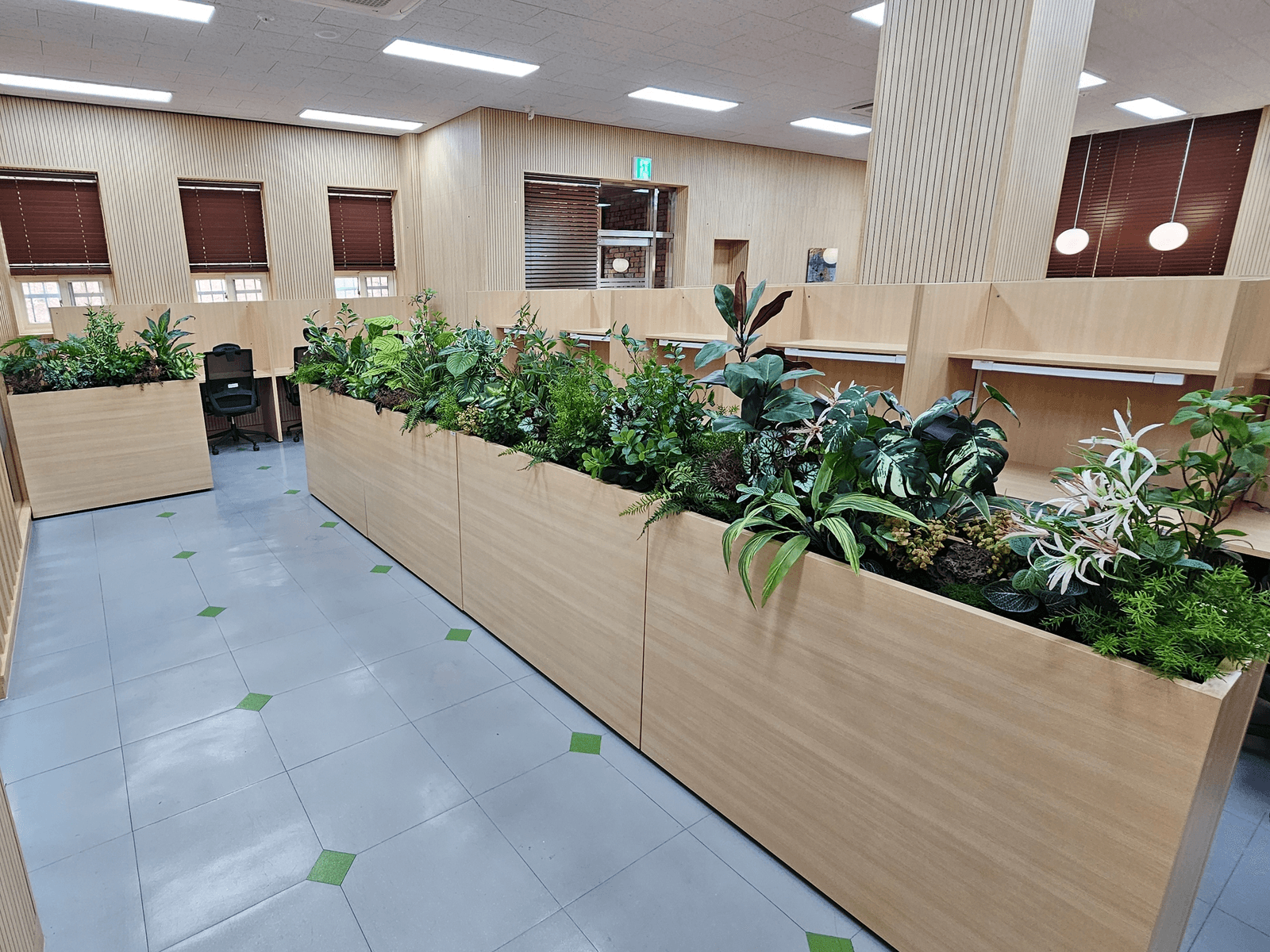충남 천안 연암대학교 도서관 — 통로를 따라 길게 놓인 우드 플랜트박스가 열람 구역을 나눈 모습