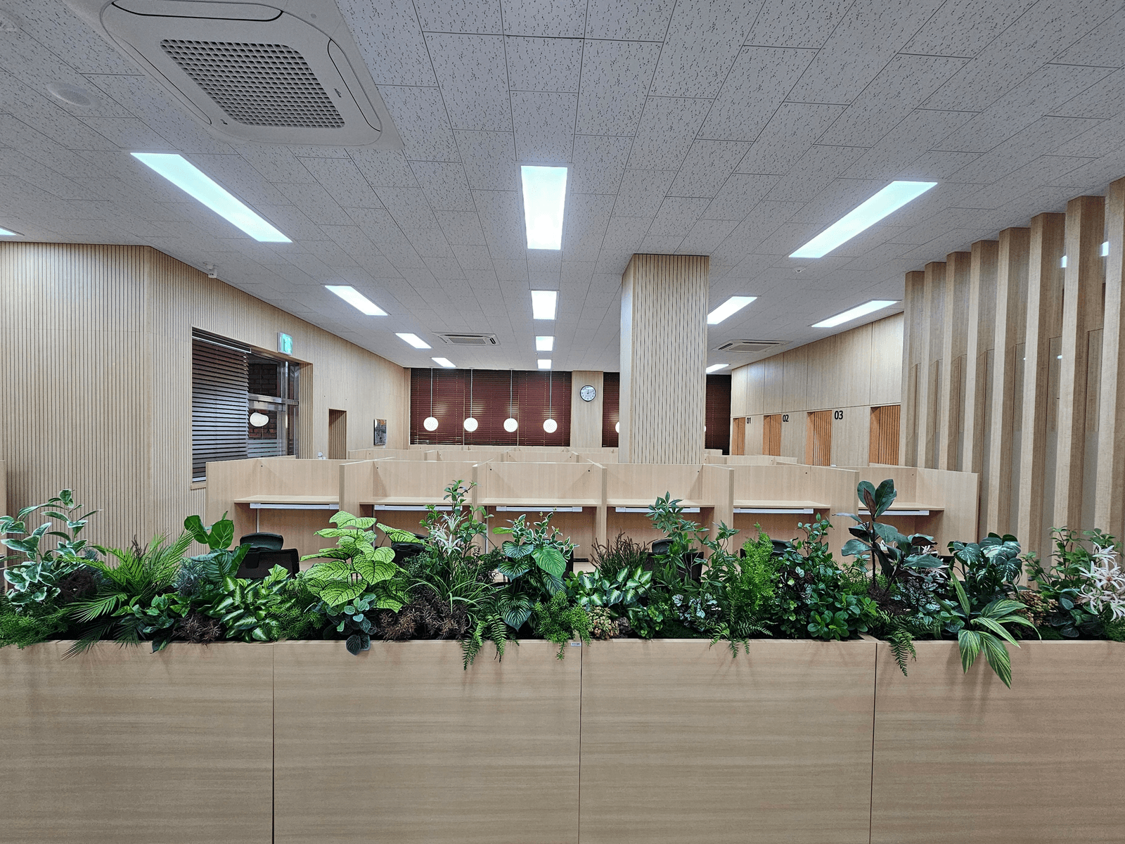충남 천안 연암대학교 도서관 — 낮은 플랜트박스 너머로 칸막이 좌석이 이어지는 열람실 전경