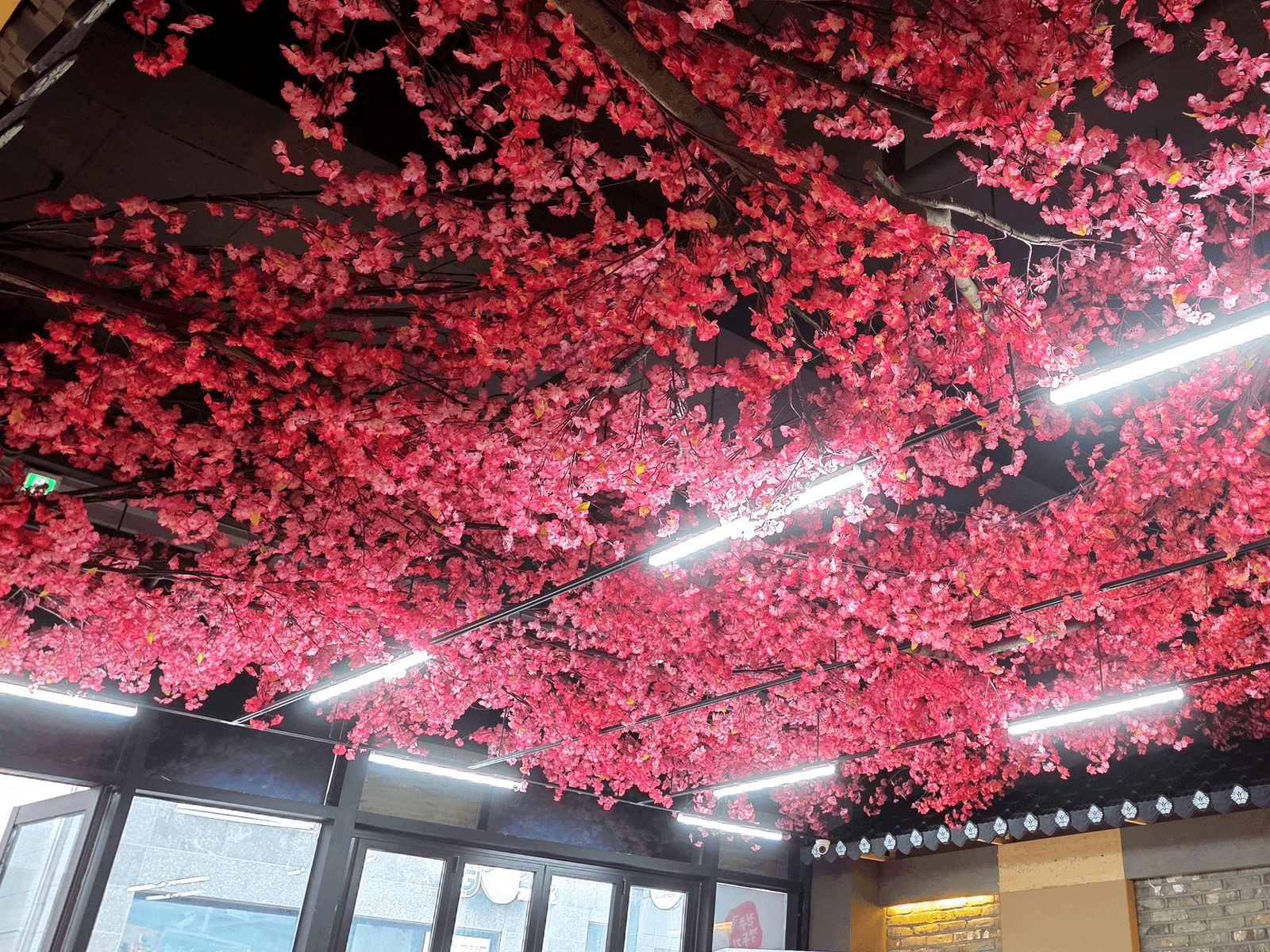 전주깍두기 송천에코시티점 — 천장 한 곳만으로 바뀐 매화 캐노피