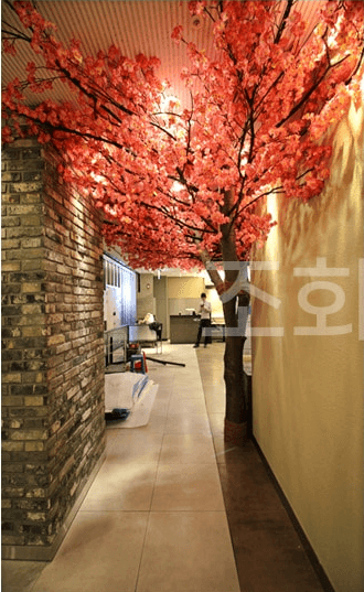 서울 매화쌈밥 잠실점 — 통로에서 보이는 매화 홀