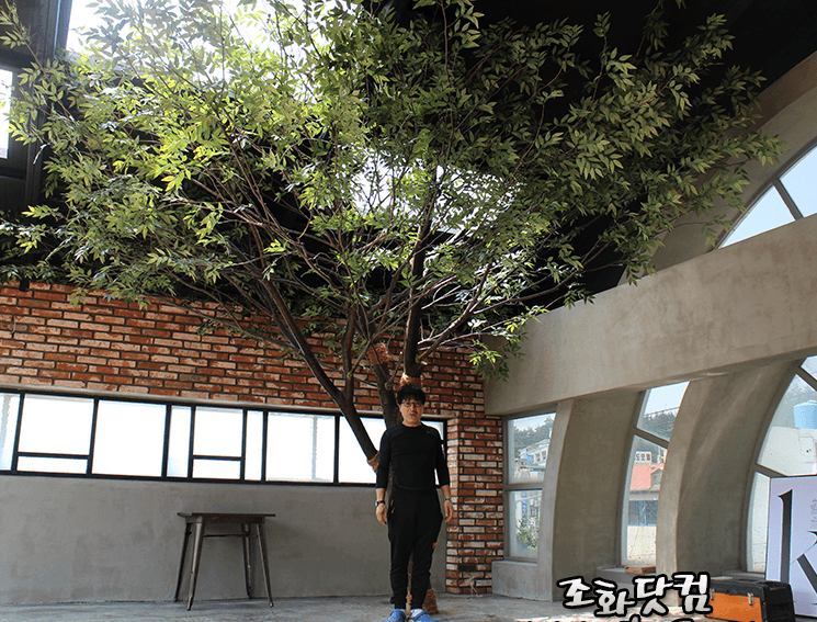 목포 명성스튜디오 — 인물 뒤로 서는 올리브나무 배경