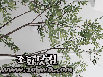 목포 명성스튜디오 — 인물 옆을 채우는 가지