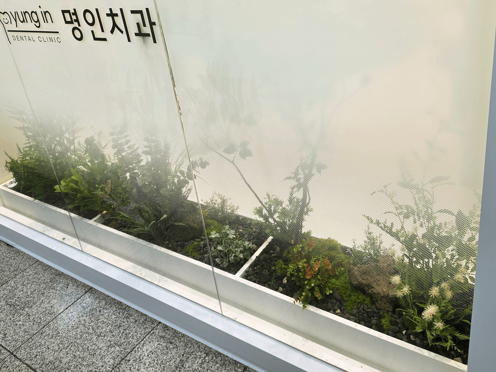 바깥 거리에서 본 서울 동작구 명인치과 창가 화단