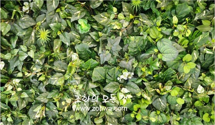 삼성동 네이처컬렉션 — 가까이 찍어도 살아 있는 잎 디테일