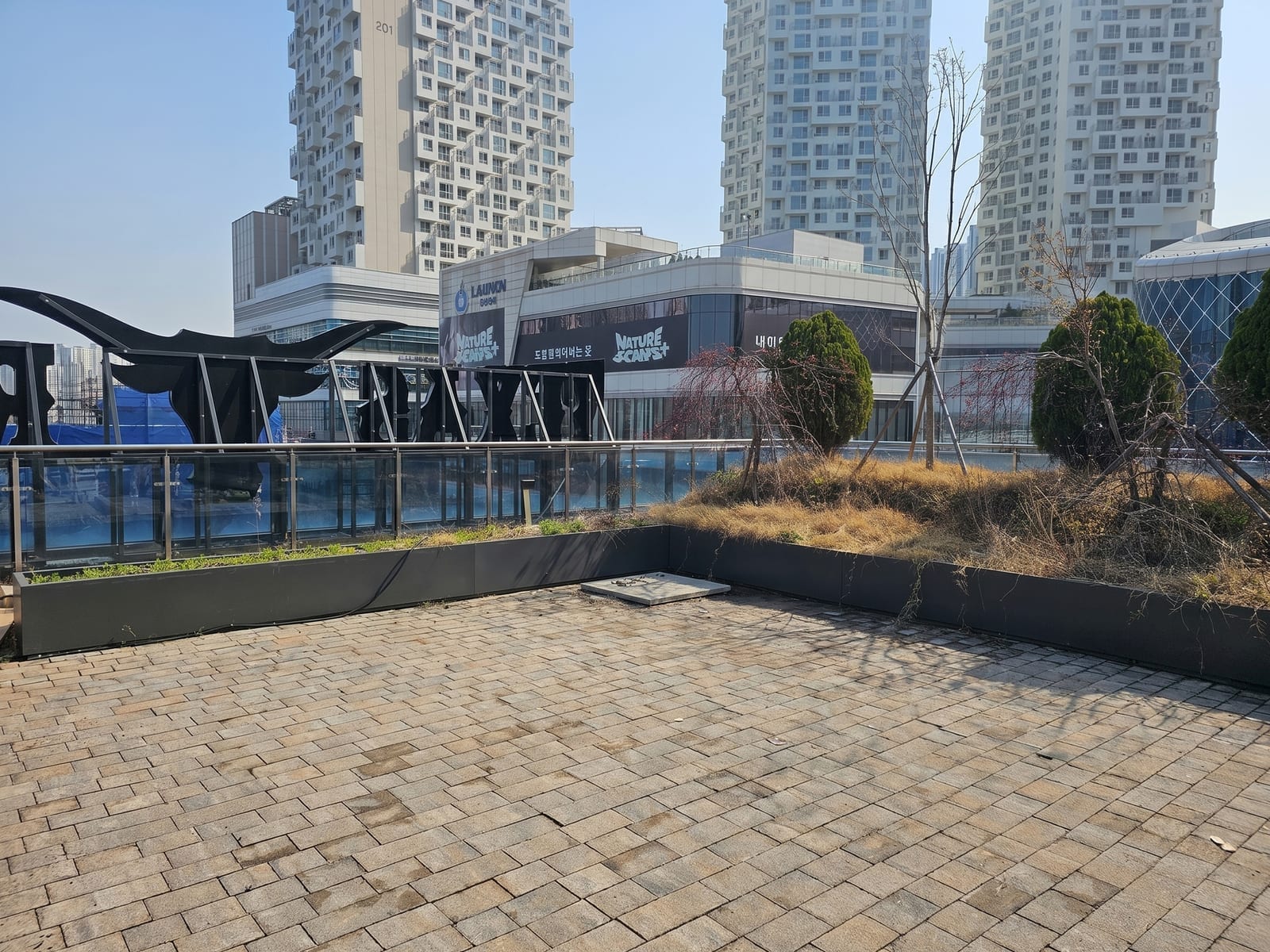 시공 전, 비어 있던 텍사스랜치 야외 화단 — 낙엽 진 나무와 포장 광장만 있는 상태