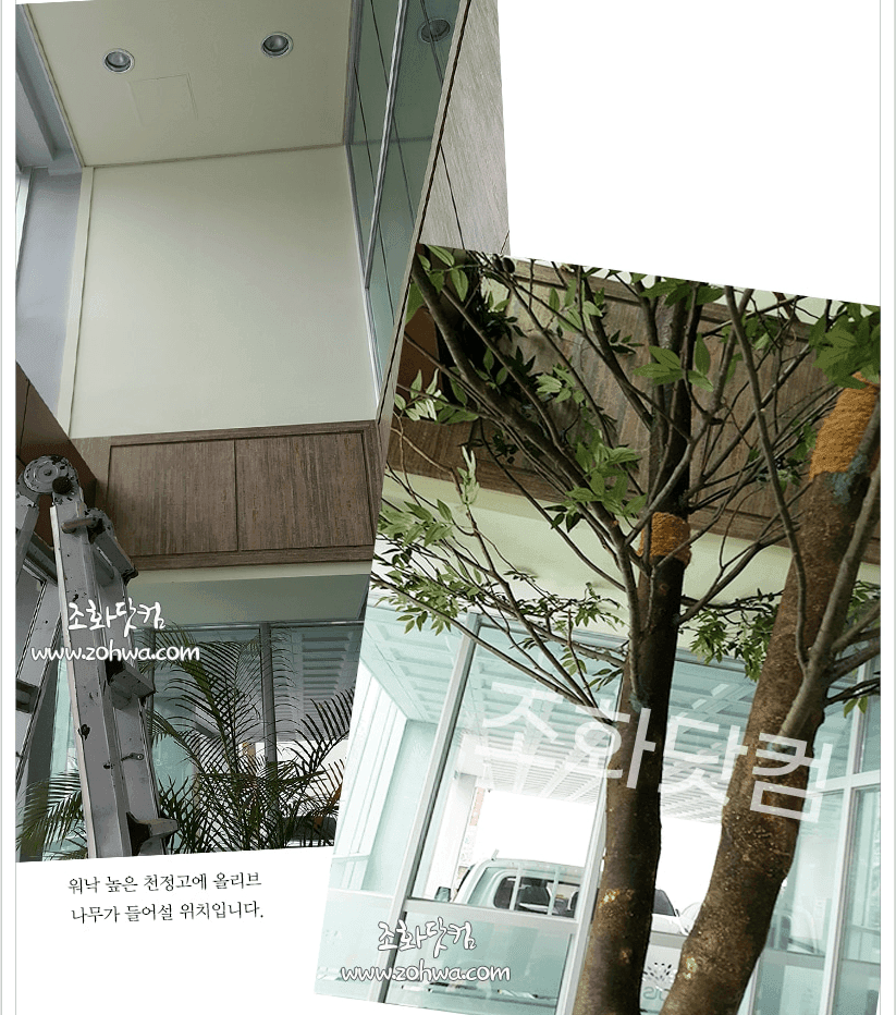 여수 씨에스 나무병원 — 복층 로비 천장 아래로 펼쳐진 나뭇잎