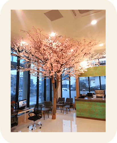 제주 파라다이스호텔 — 좌석 위로 드리운 벚꽃