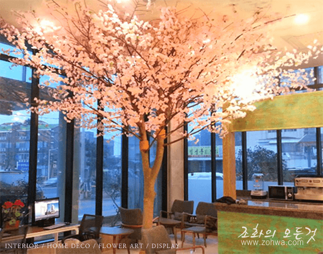 제주 파라다이스호텔 — 커피숍의 벚꽃나무