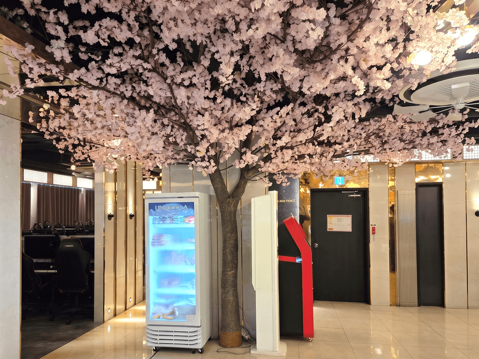 평택 제니스 PC방 — 입구 벚꽃나무 줄기 앞, 일행이 함께 서는 배경