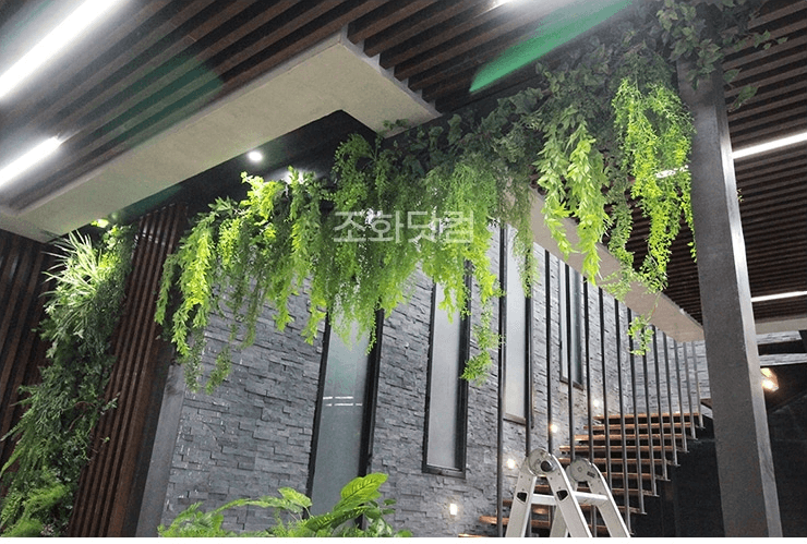 파주 JTBC 로스쿨 촬영장 — 잎줄기의 늘어짐까지 연출한 행잉 디테일