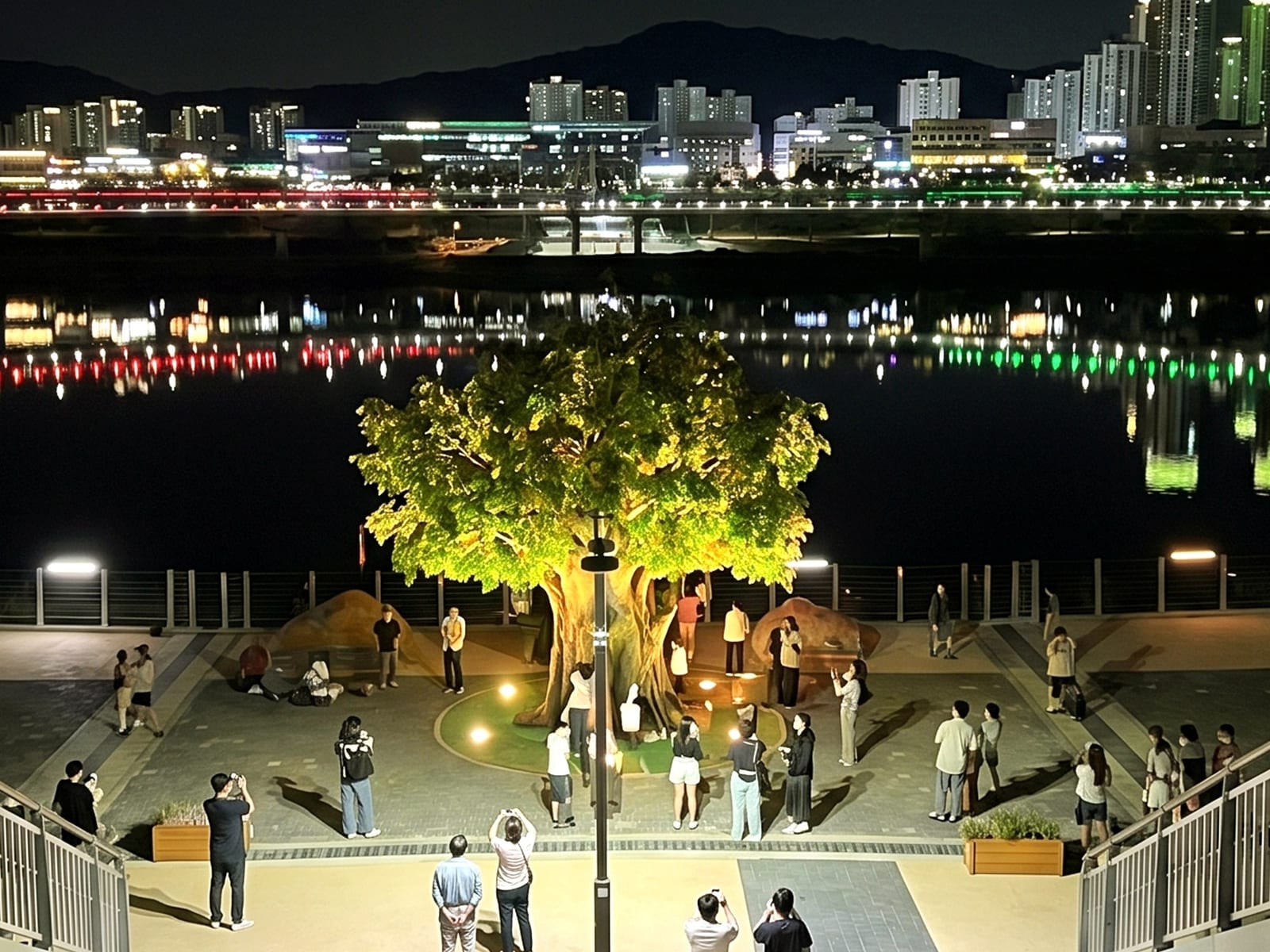 세종 금강보행교 — 밤 행사 때 사람들이 모이는 광장의 중심 나무