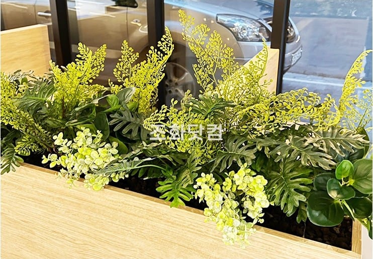 서울 글램독 그라운드 삼성점 — 같은 펫카페의 다른 플랜트박스에 채운 관엽과 꽃