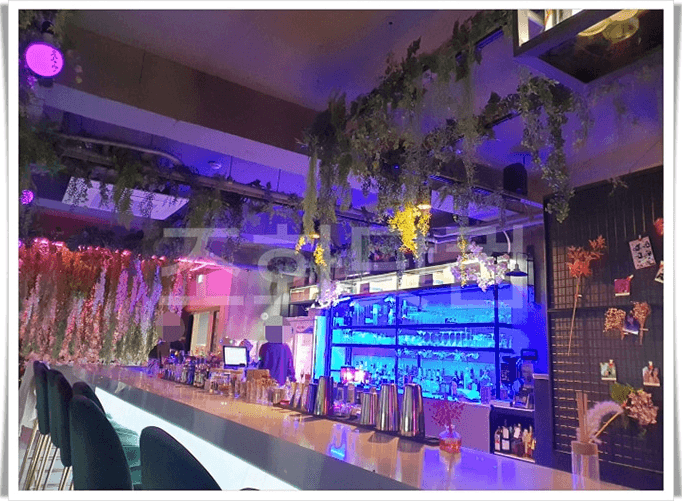 인천 검단 프로핏 칵테일 바 — 바 카운터 상부에 드리운 행잉 그린