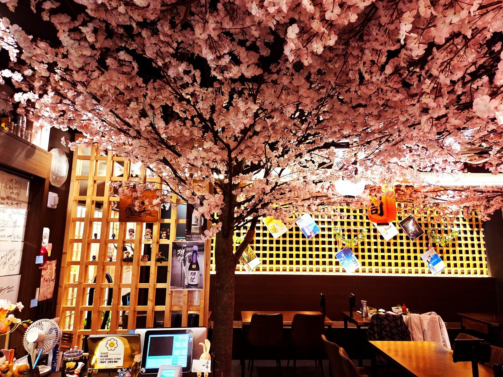 서울 강남 이자카야 — 실제 나무의 결이 살아 있는 벚꽃나무 줄기